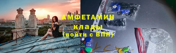 молекула духа Елизово