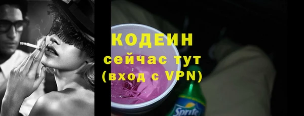 молекула духа Елизово