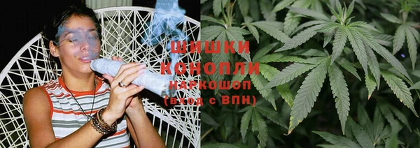 молекула духа Елизово