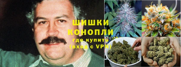 марки nbome Ельня