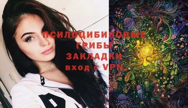 молекула духа Елизово